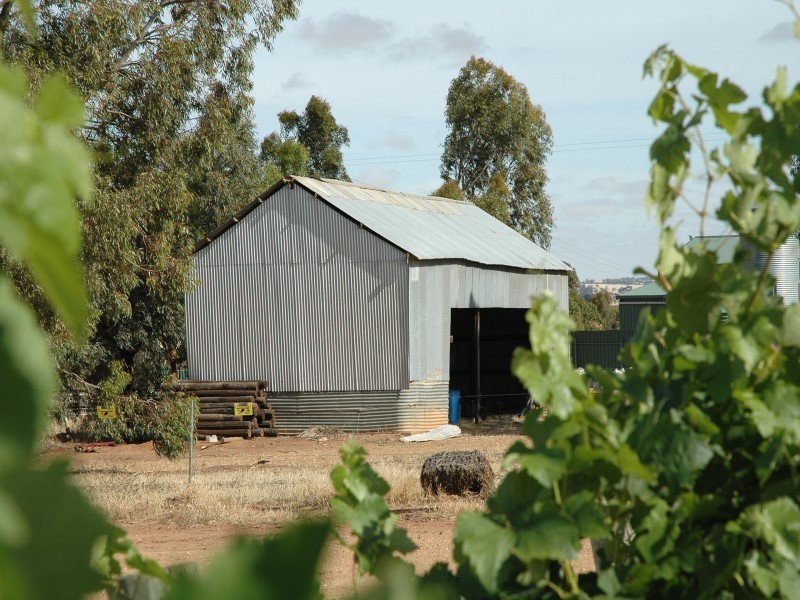 Lot 51 Rosedale Scenic Road, Rosedale SA 5350