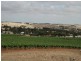 Lot 51 Rosedale Scenic Road, Rosedale SA 5350