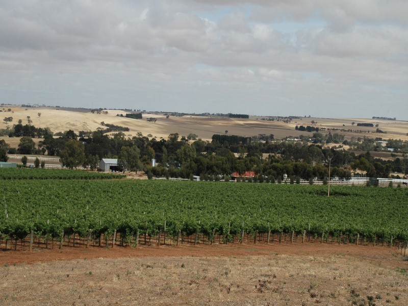 Lot 51 Rosedale Scenic Road, Rosedale SA 5350