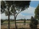 Lot 51 Rosedale Scenic Road, Rosedale SA 5350