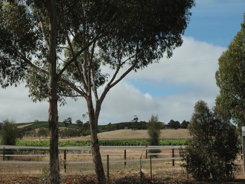 Lot 51 Rosedale Scenic Road, Rosedale SA 5350