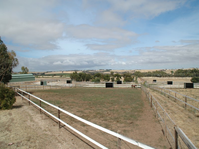 Lot 51 Rosedale Scenic Road, Rosedale SA 5350
