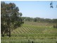 Lot 591 Cranes Range Road, Eden Valley SA 5235