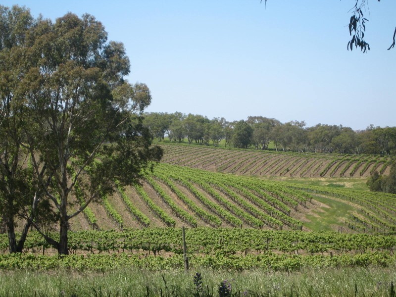 Lot 591 Cranes Range Road, Eden Valley SA 5235