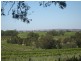 Lot 591 Cranes Range Road, Eden Valley SA 5235