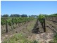 Lot 591 Cranes Range Road, Eden Valley SA 5235