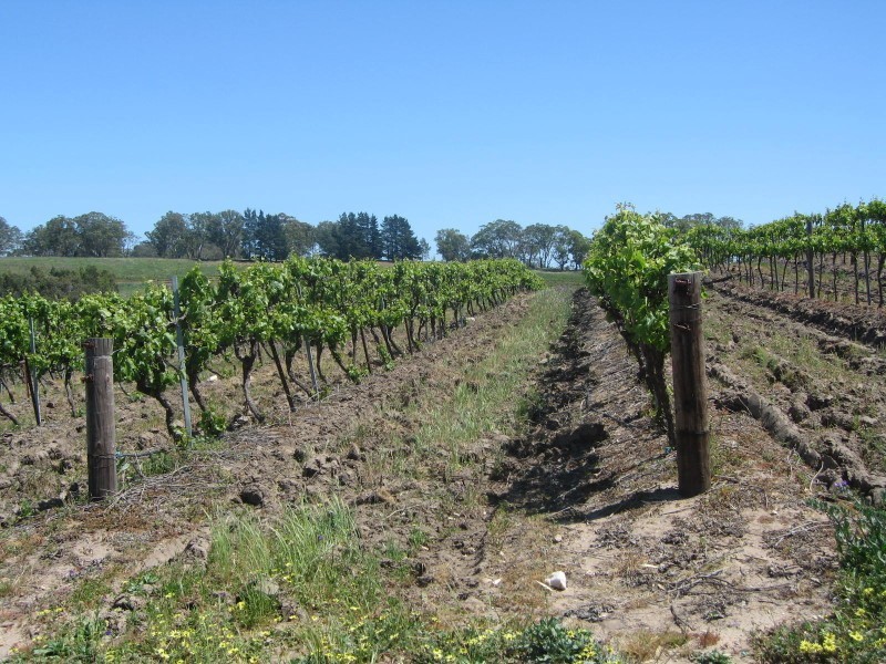 Lot 591 Cranes Range Road, Eden Valley SA 5235