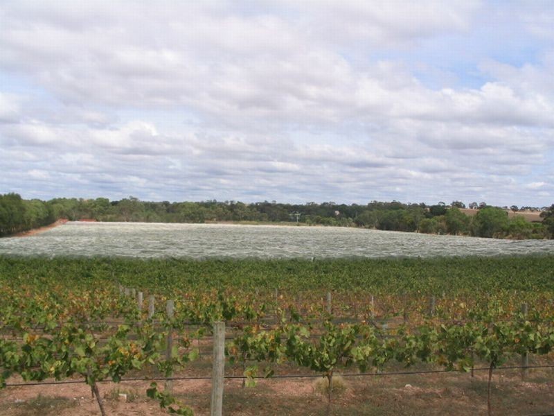 Lot 94 Truro Road, Moculta SA 5353