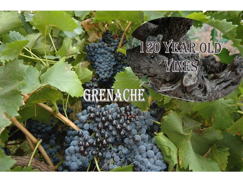 Lot 1 Victor Road, Greenock SA 5360