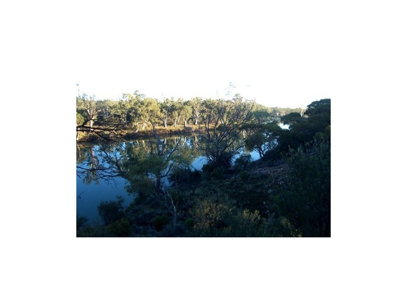 Lot 12 Blanchetown Road, Morgan SA 5320