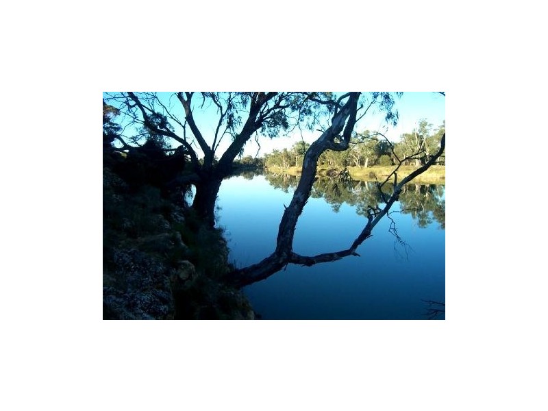 Lot 12 Blanchetown Road, Morgan SA 5320