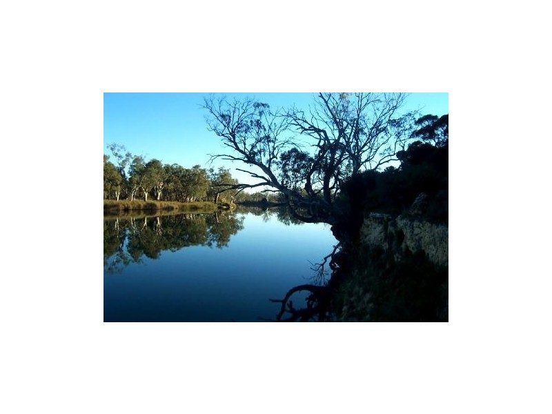 Lot 12 Blanchetown Road, Morgan SA 5320