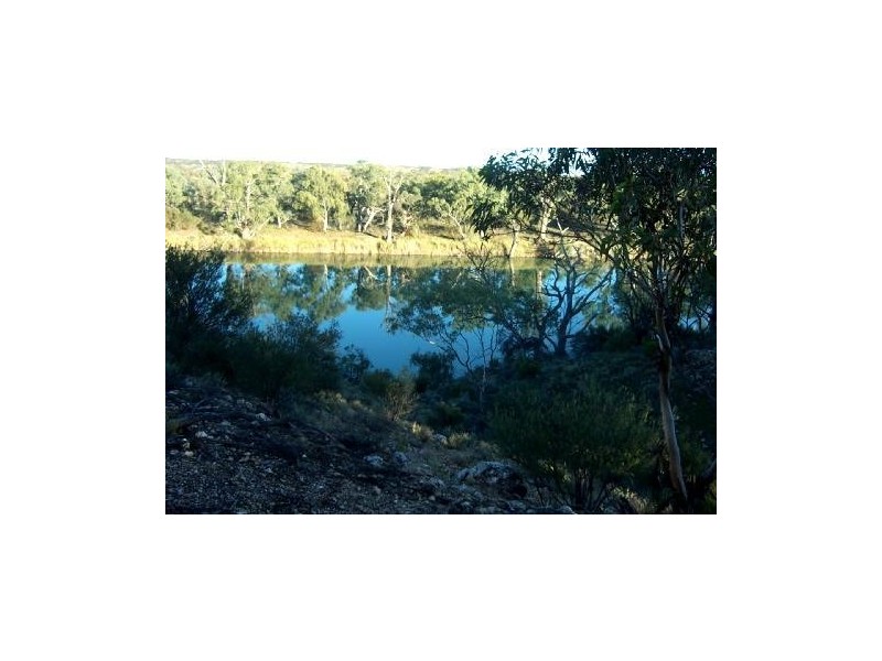 Lot 12 Blanchetown Road, Morgan SA 5320