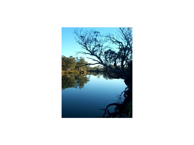 Lot 12 Blanchetown Road, Morgan SA 5320