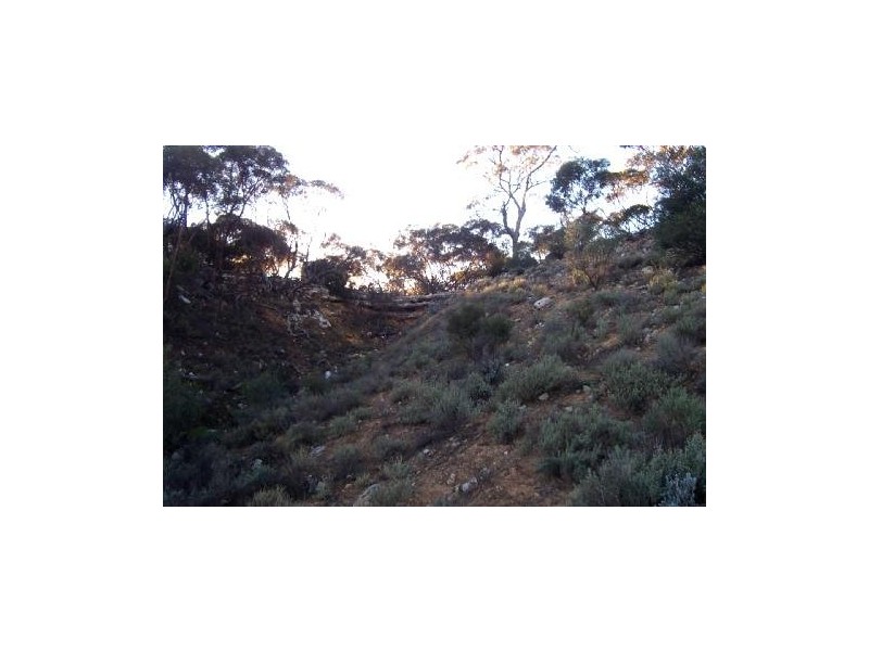 Lot 12 Blanchetown Road, Morgan SA 5320