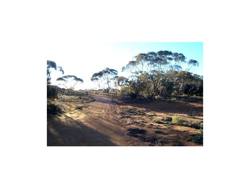 Lot 12 Blanchetown Road, Morgan SA 5320