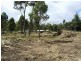 4 Brewis Place, Lake Leake TAS 7210