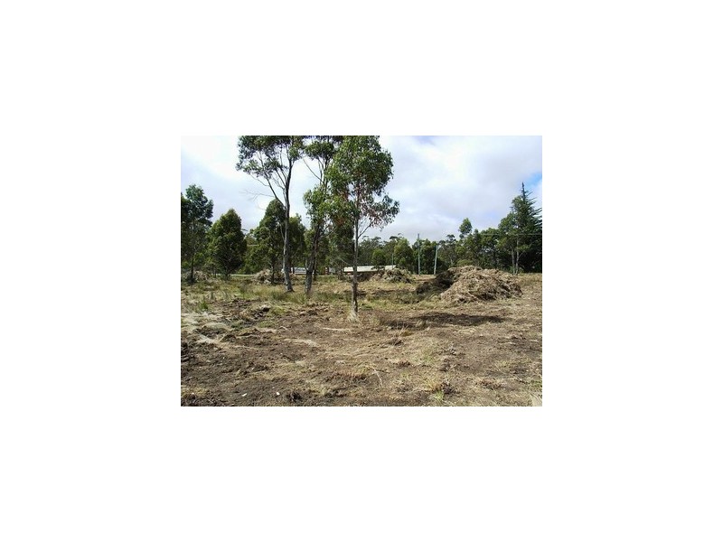 4 Brewis Place, Lake Leake TAS 7210