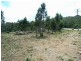4 Brewis Place, Lake Leake TAS 7210