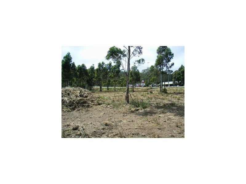 4 Brewis Place, Lake Leake TAS 7210