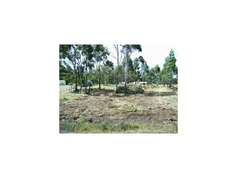 4 Brewis Place, Lake Leake TAS 7210