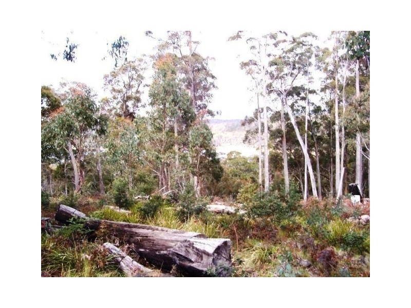 18 Little Spit Road, Lake Leake TAS 7210