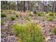 18 Little Spit Road, Lake Leake TAS 7210