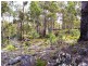 18 Little Spit Road, Lake Leake TAS 7210