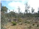 0 Un-named Road, Lake Leake TAS 7210