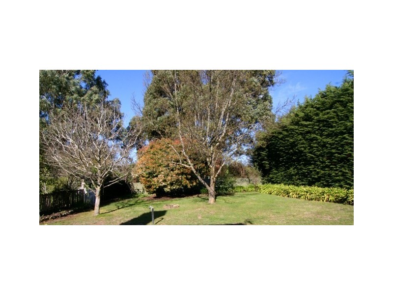 30 Lewis Street, Longford TAS 7301