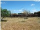 20 Torlesse Street, Campbell Town TAS 7210