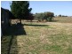 19 Macquarie Street, Cressy TAS 7302