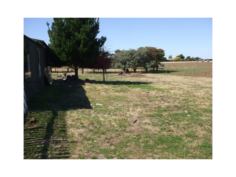 19 Macquarie Street, Cressy TAS 7302