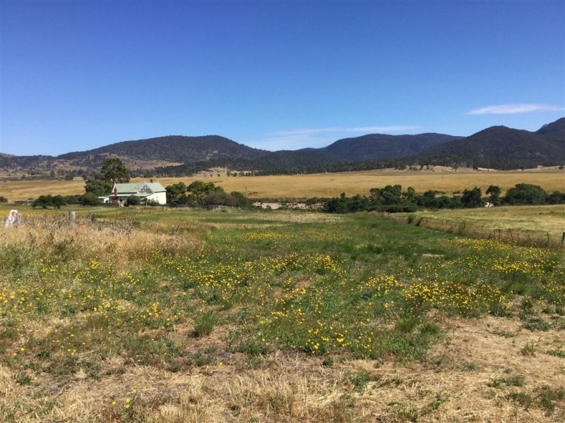 41 Falmouth Street, Avoca TAS 7213