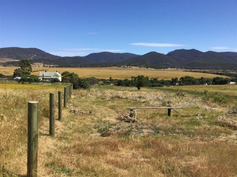 41 Falmouth Street, Avoca TAS 7213