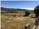 41 Falmouth Street, Avoca TAS 7213