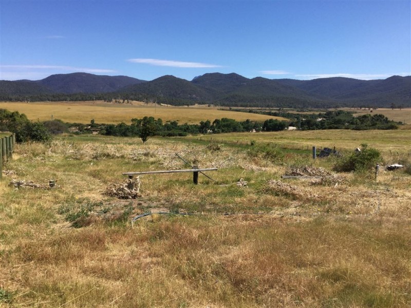 41 Falmouth Street, Avoca TAS 7213