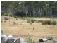 320 Lake Leake Road, Lake Leake TAS 7210