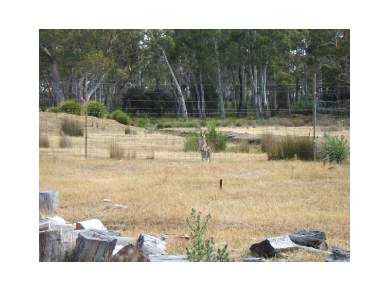 320 Lake Leake Road, Lake Leake TAS 7210