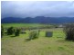41 Falmouth Street, Avoca TAS 7213