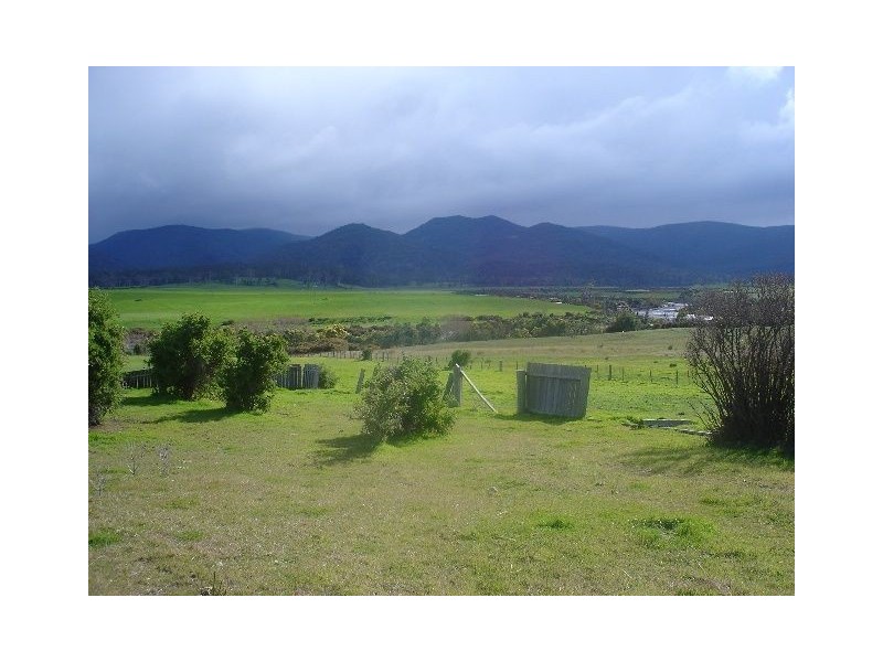 41 Falmouth Street, Avoca TAS 7213