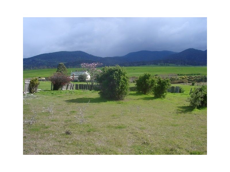 41 Falmouth Street, Avoca TAS 7213