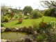 150 Bridge Street, Campbell Town TAS 7210