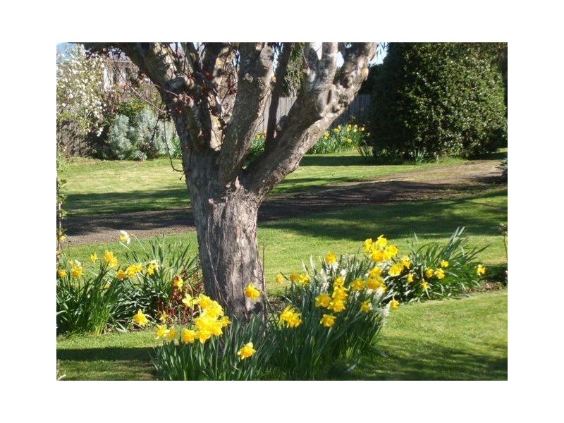 176 Bridge Street, Campbell Town TAS 7210