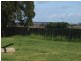 Lot 2 78 Main Street, Cressy TAS 7302