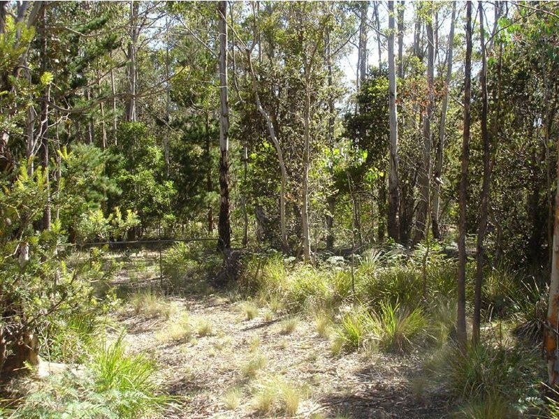 92 Lake View Road, Lake Leake TAS 7210