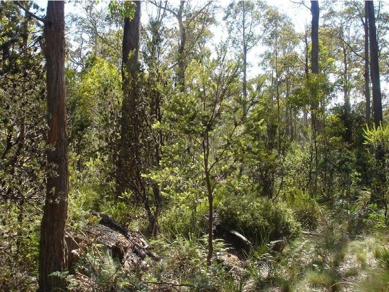 92 Lake View Road, Lake Leake TAS 7210