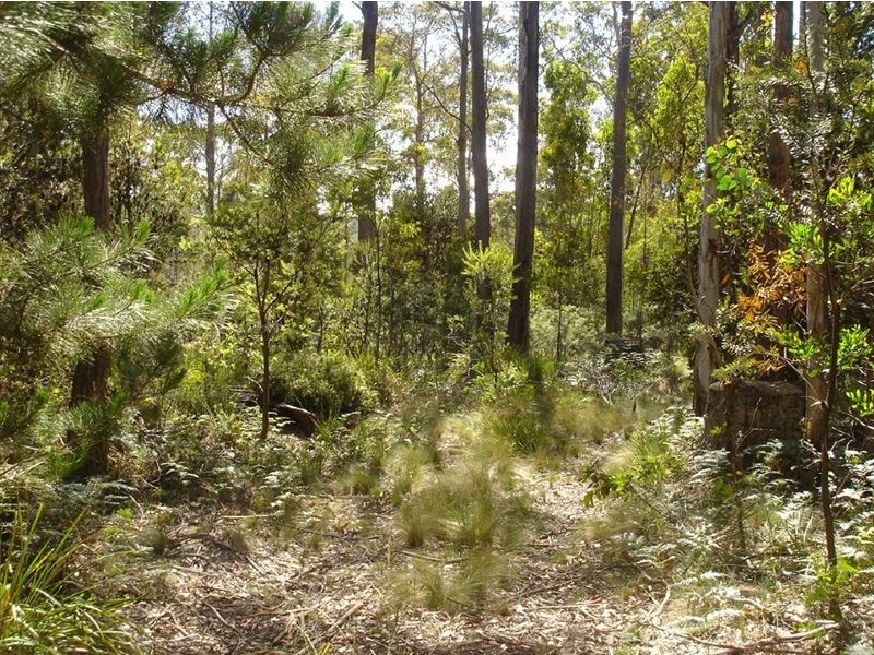 92 Lake View Road, Lake Leake TAS 7210