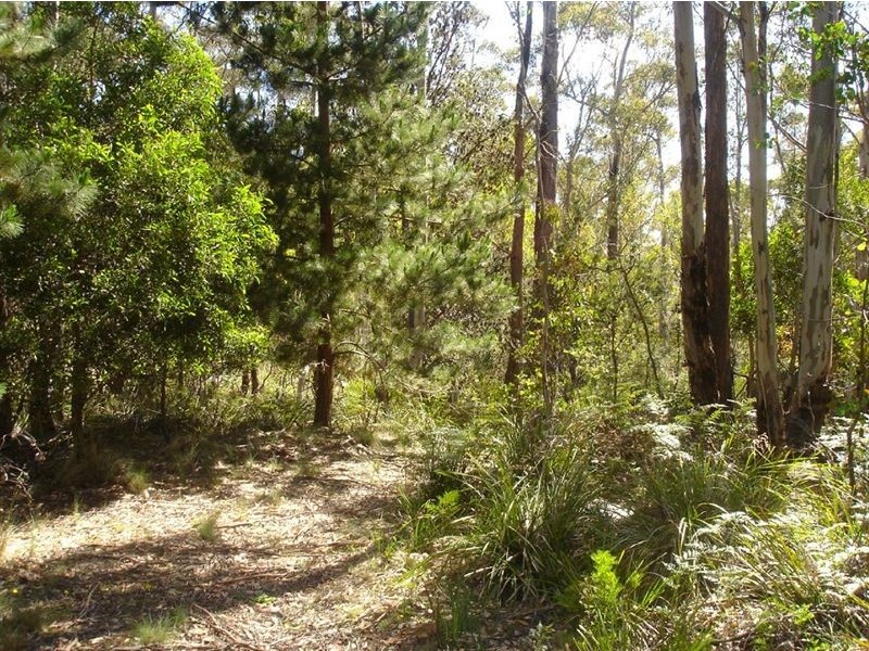 92 Lake View Road, Lake Leake TAS 7210