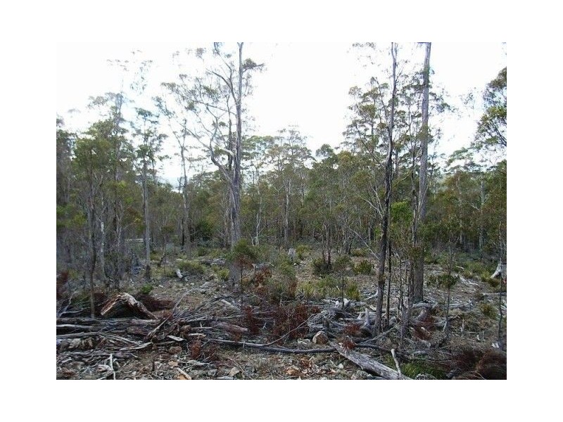 92 Lake View Road, Lake Leake TAS 7210